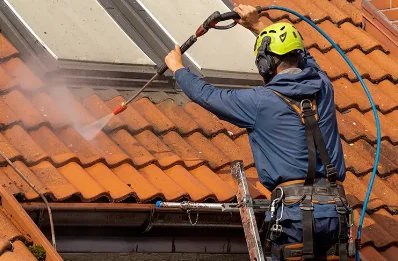 Démoussage et hydrofuge de toiture à Vogüé